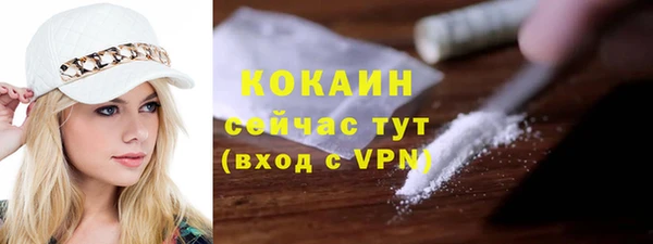 соль ск Алзамай