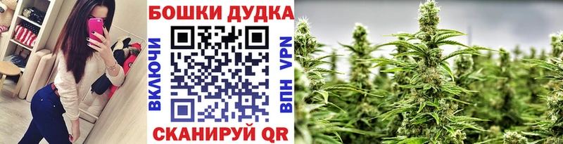 Каннабис планчик  Чкаловск 